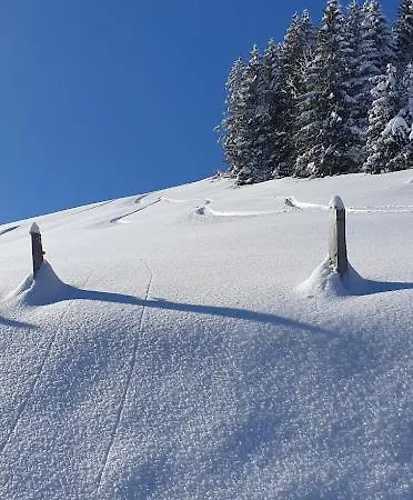 Le Grenier Des Crosets, Vue Exceptionnelle Sur Les Dents Du Midi Alpehytte Champéry
