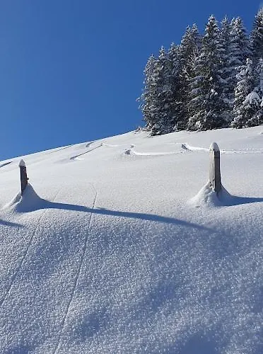 Le Grenier Des Crosets, Vue Exceptionnelle Sur Les Dents Du Midi شاليه تشامبري